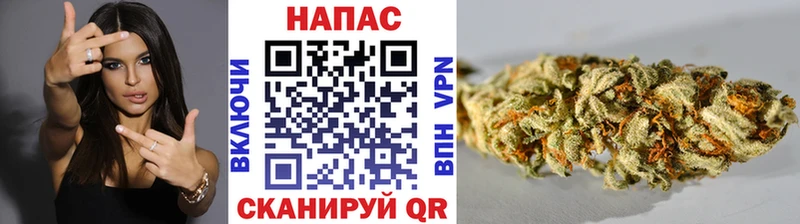 как найти закладки  Северская  Бошки Шишки семена 